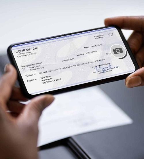 ACH-eCheck Processing service section image